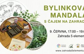 Bylinková mandala s čajem na zahradě