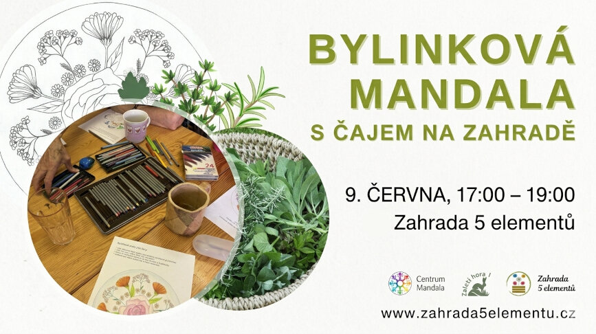 Bylinková mandala s čajem na zahradě