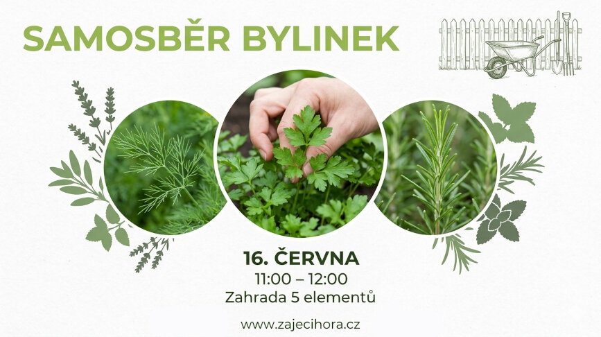 Samosběr bylinek