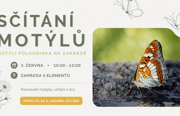 Sčítání motýlů v Zahradě 5 elementů