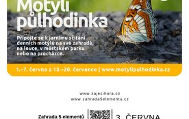 Sčítání motýlů v Zahradě 5 elementů
