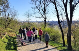 Komentovaná prohlídka prací na Husovickém kopci