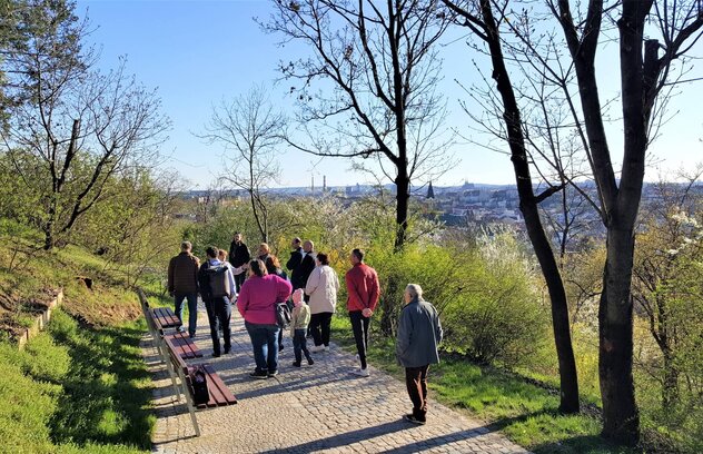 Komentovaná prohlídka prací na Husovickém kopci
