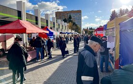 Farmářské trhy - Lesná