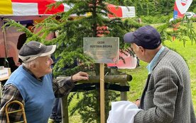 Odpoledne Gustava Broma