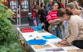 Festival Výtvarka!!!