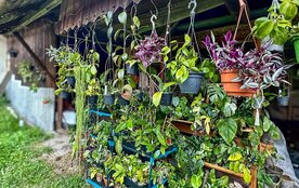 Benefiční kvítkobazar vol. 5