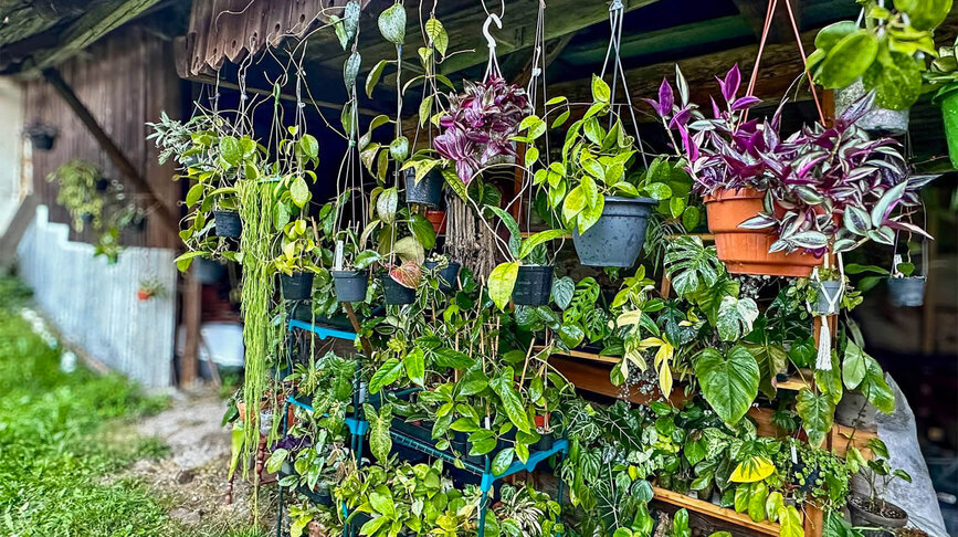 Benefiční kvítkobazar vol. 5