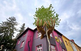 Open House Brno: Kristkův dům