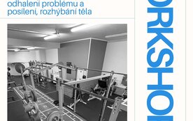 Workshop – kompenzace sedavého života