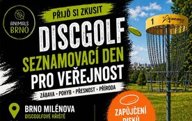 Den s discgolfem