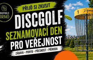 Den s discgolfem
