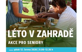 Léto v zahradě