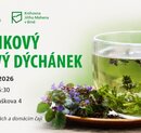 Bylinkový čajový dýchánek