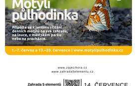 Sčítání motýlů v Zahradě 5 elementů