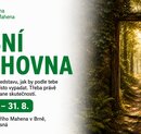 Lesní knihovna