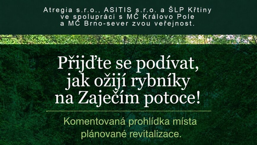 Komentovaná prohlídka místa plánované revitalizace rybníčků v údolí Zaječího potoka
