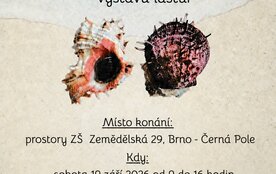 Prodejní a výměnná výstava lastur
