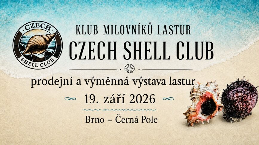 Prodejní a výměnná výstava lastur