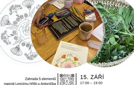 Bylinková mandala s čajem na zahradě
