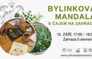 Bylinková mandala s čajem na zahradě