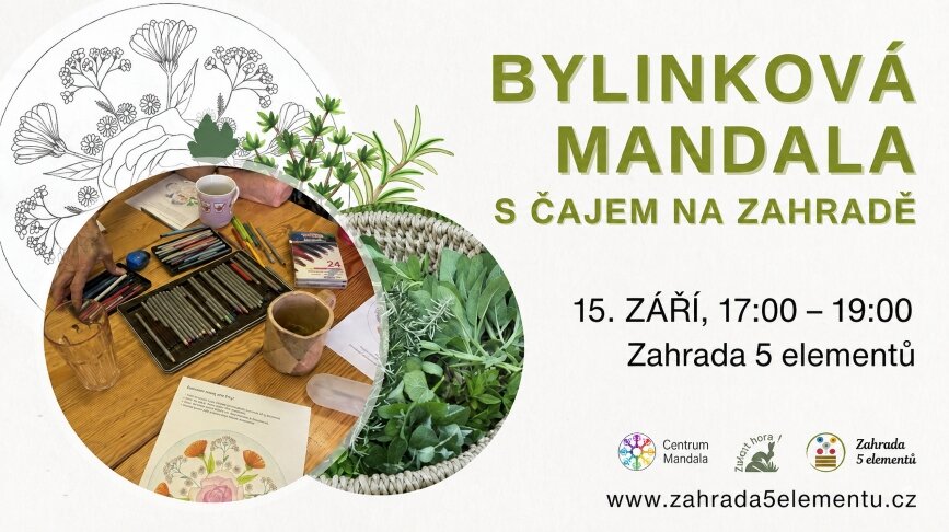 Bylinková mandala s čajem na zahradě