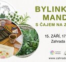 Bylinková mandala s čajem na zahradě