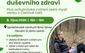 Péče o sebe v oblasti duševního zdraví